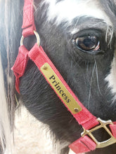 Load image into Gallery viewer, Laser Aluminum Custom Engraved Halter Plate with Optional Durable Finish