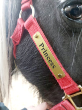 Load image into Gallery viewer, Laser Aluminum Custom Engraved Halter Plate with Optional Durable Finish