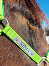 Load image into Gallery viewer, Bold Lamacoid Plastic Custom Engraved Halter Plate