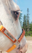 Load image into Gallery viewer, Laser Aluminum Custom Engraved Halter Plate with Optional Durable Finish