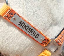 Load image into Gallery viewer, Laser Aluminum Custom Engraved Halter Plate with Optional Durable Finish