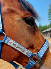 Load image into Gallery viewer, Laser Aluminum Custom Engraved Halter Plate with Optional Durable Finish