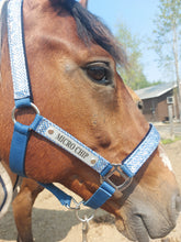 Load image into Gallery viewer, Laser Aluminum Custom Engraved Halter Plate with Optional Durable Finish