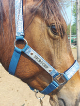 Load image into Gallery viewer, Laser Aluminum Custom Engraved Halter Plate with Optional Durable Finish