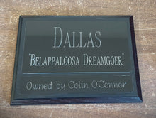 Load image into Gallery viewer, Custom Engraved Horse Stall Plaque - Aluminum Plates