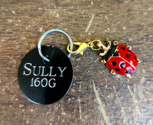 Load image into Gallery viewer, Ladybug Charm