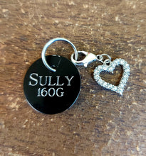 Load image into Gallery viewer, Custom Engraved Dog/ Cat Tag - Slide on Style - Drag/ Rotary Engraved