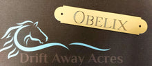 Load image into Gallery viewer, Brass Halter Plate with Rivets