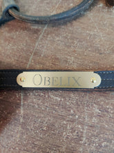 Load image into Gallery viewer, Brass Halter Plate with Rivets