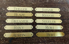 Load image into Gallery viewer, Brass Saddle Plate with Escutcheon Pins