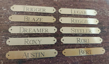 Load image into Gallery viewer, Brass Saddle Plate with Escutcheon Pins