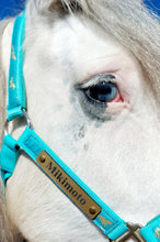 Load image into Gallery viewer, Bold Lamacoid Plastic Custom Engraved Halter Plate