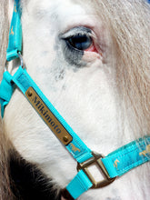 Load image into Gallery viewer, Bold Lamacoid Plastic Custom Engraved Halter Plate