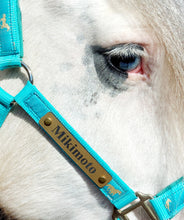 Load image into Gallery viewer, Bold Lamacoid Plastic Custom Engraved Halter Plate