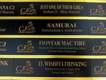 Load image into Gallery viewer, Stall Name Plate Slider Set - Bold Lamacoid Plastic - Realistic Metallic Options