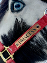 Load image into Gallery viewer, Bold Lamacoid Plastic Custom Engraved Halter Plate