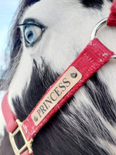 Load image into Gallery viewer, Bold Lamacoid Plastic Custom Engraved Halter Plate