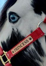 Load image into Gallery viewer, Bold Lamacoid Plastic Custom Engraved Halter Plate