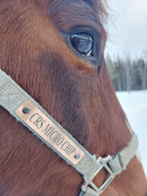 Load image into Gallery viewer, Bold Lamacoid Plastic Custom Engraved Halter Plate