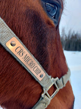 Load image into Gallery viewer, Bold Lamacoid Plastic Custom Engraved Halter Plate