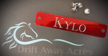 Load image into Gallery viewer, Aluminum Custom Engraved Horse Halter Plate