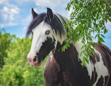 Load image into Gallery viewer, Original photo used for ornament