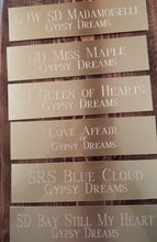 Load image into Gallery viewer, Stall Name Plate for Slider Set - Aluminum (PLATE ONLY)