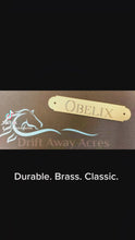 Load and play video in Gallery viewer, Brass Halter Plate with Rivets