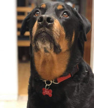 Load image into Gallery viewer, Custom Engraved Dog Tag - Bone Shape - Drag/ Rotary Engraved