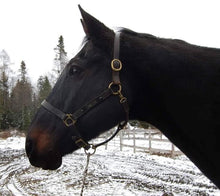 Load image into Gallery viewer, Aluminum Custom Engraved Horse Halter Plate