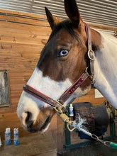 Load image into Gallery viewer, Aluminum Custom Engraved Horse Halter Plate