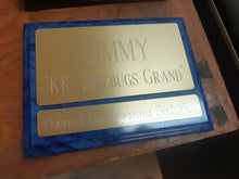 Load image into Gallery viewer, Custom Engraved Horse Stall Plaque - Aluminum Plates