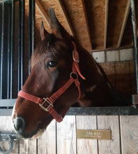 Load image into Gallery viewer, Stall Name Plate Slider Set - Aluminum