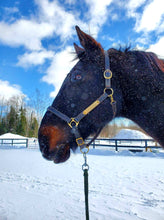 Load image into Gallery viewer, Brass Halter Plate with Rivets